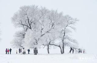 冬天没有童话,童话的缺席