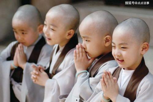 团团转,探寻青春活力与梦想的旋转之旅